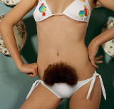 tue lamour