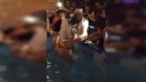 soirée salamanque